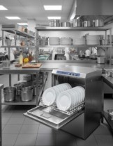 Professional dishwashers