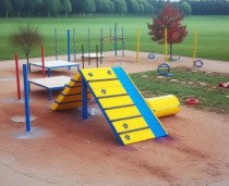 Agility Dog Courses