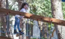 Mobile bridge for playground