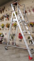 Cemetery Ladders
