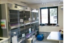 Veterinary