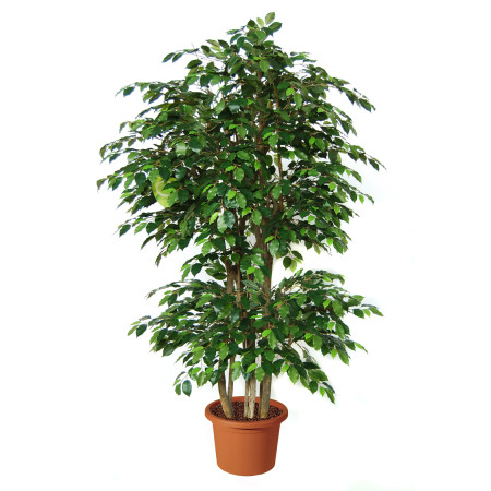artificial-plant-ficus-benjamin-boschetto-h9308