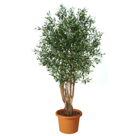 artificial-plant-olive-malabar-h9304