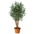artificial-plant-olive-malabar-h9304