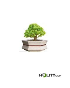 hexagonal-planter-for-urban-furniture-h287_313