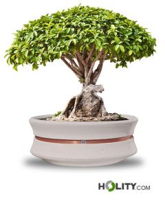 circular-planter-for-public-spaces-h319_73