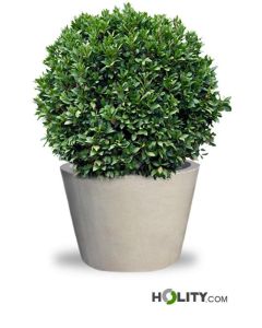 circular-concrete-planter-h319_78