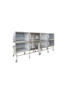 box-degenza-veterinaria-8-posti-h601_26