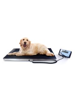 veterinary-clinic-scale-h721_09