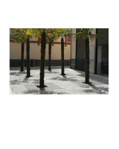 tree-grate-h867_35