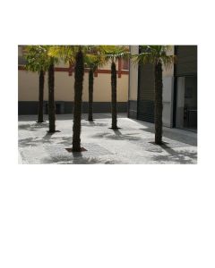 tree-grate-for-public-spaces-h867_36
