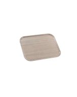 rectangular-restaurant-tray-h282_65