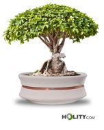 circular-planter-for-public-spaces-h319_73