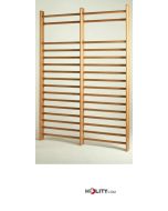 swedish-wall-bar-2-sections-according-to-din-standards-h37-31