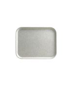 restaurant-tray-h464_208