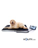veterinary-clinic-scale-h721_09