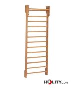 swedish-wall-bar-for-gym-h731-50