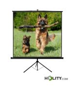 projection-screen-h825_02