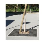 tree-grate-h867_24