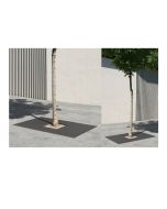 tree-grate-h867_30