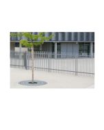 tree-grate-h867_34