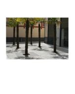 tree-grate-h867_35