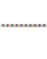 10-place coat rack plastic hangers h908_196