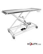 operating-table-for-veterinary-clinics-h930_38