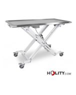 veterinary-operating-table-h930_39