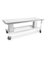 Tavolo RX veterinaria h930_95