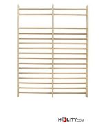 double-swedish-wall-bars-for-gymnastics-h948-02