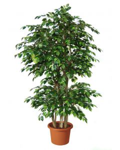 artificial-plant-ficus-benjamin-boschetto-h9308