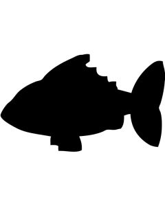 Lavagna a forma di pesce adesiva h14848
