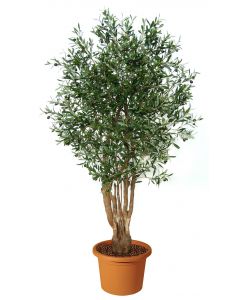 artificial-plant-olive-malabar-h9304