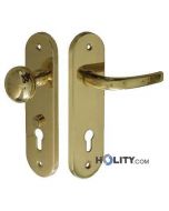 Handle for hotel - gateway in brass h0405