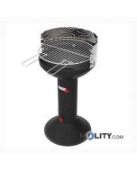 Charcoal barbecue column h17005