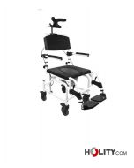 shower-overhead-wheelchair-h8916
