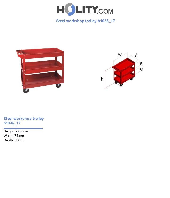 Steel workshop trolley h1035_17