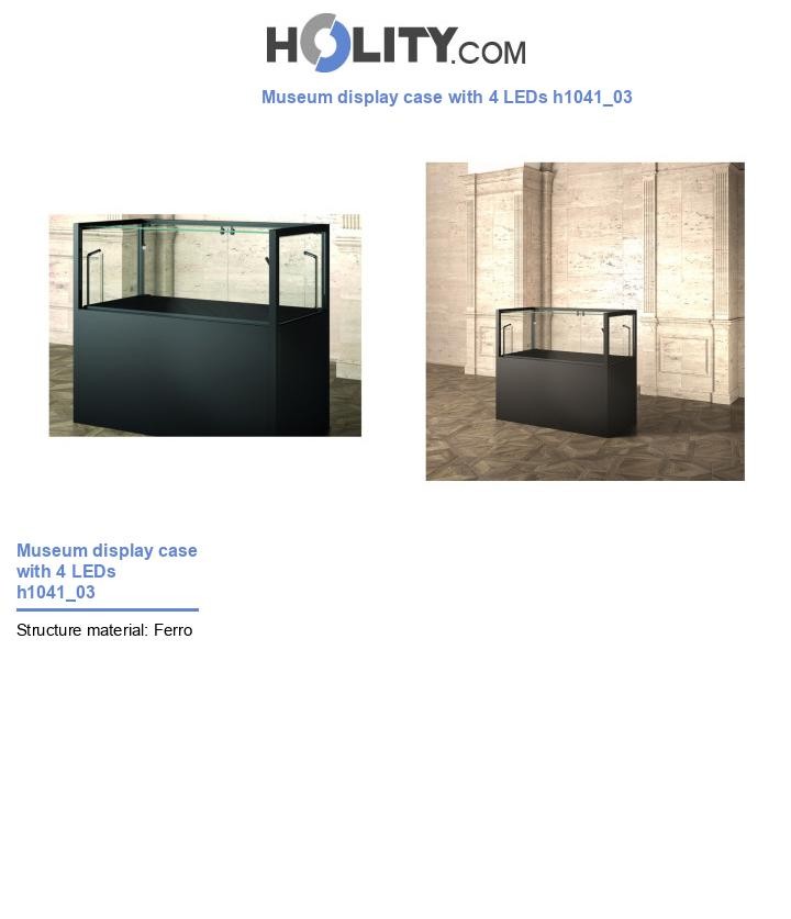 Museum display case with 4 LEDs h1041_03