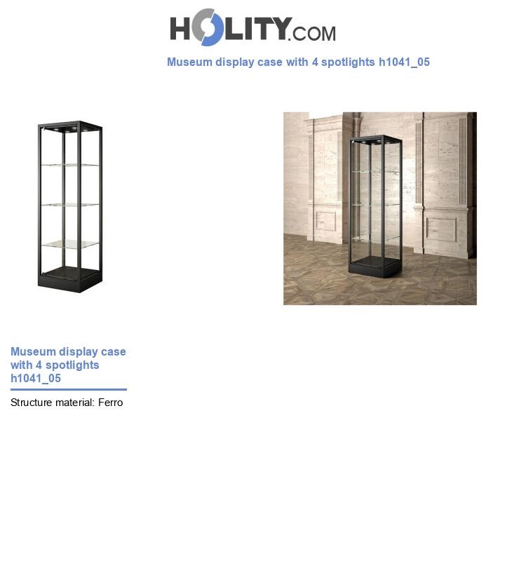 Museum display case with 4 spotlights h1041_05