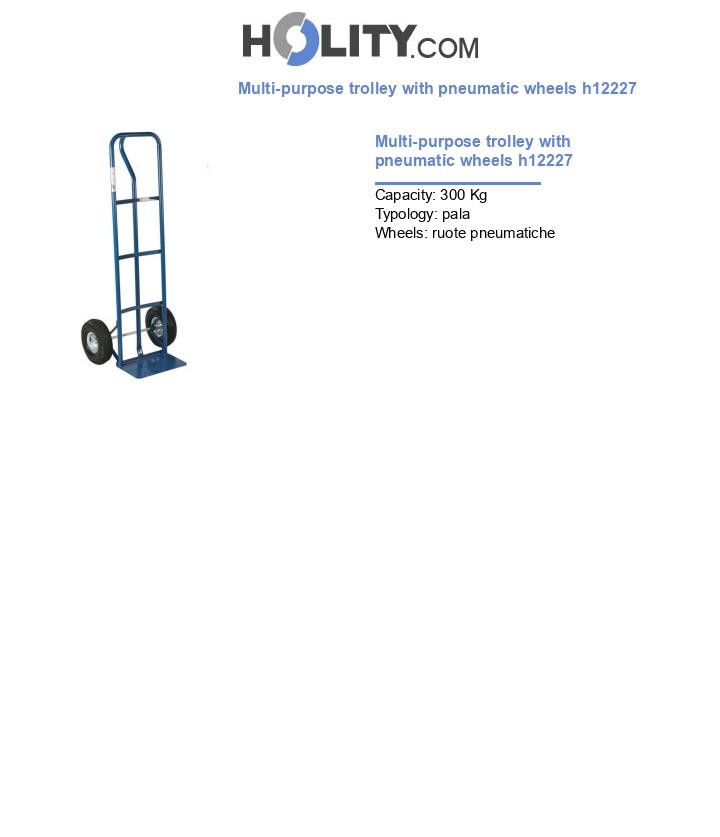 Multi-purpose trolley with pneumatic wheels h12227