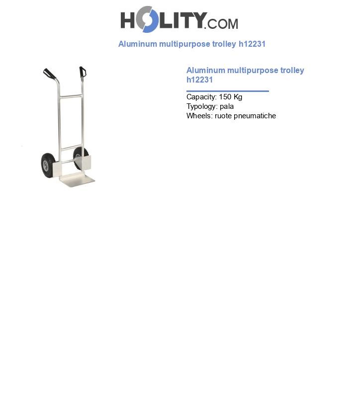 Aluminum multipurpose trolley h12231