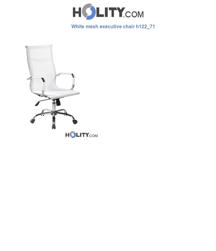 White mesh executive chair h122_71