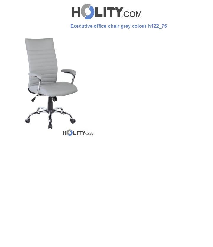 Executive office chair grey colour h122_75