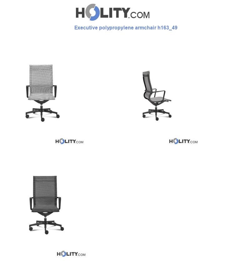 Executive polypropylene armchair h163_49