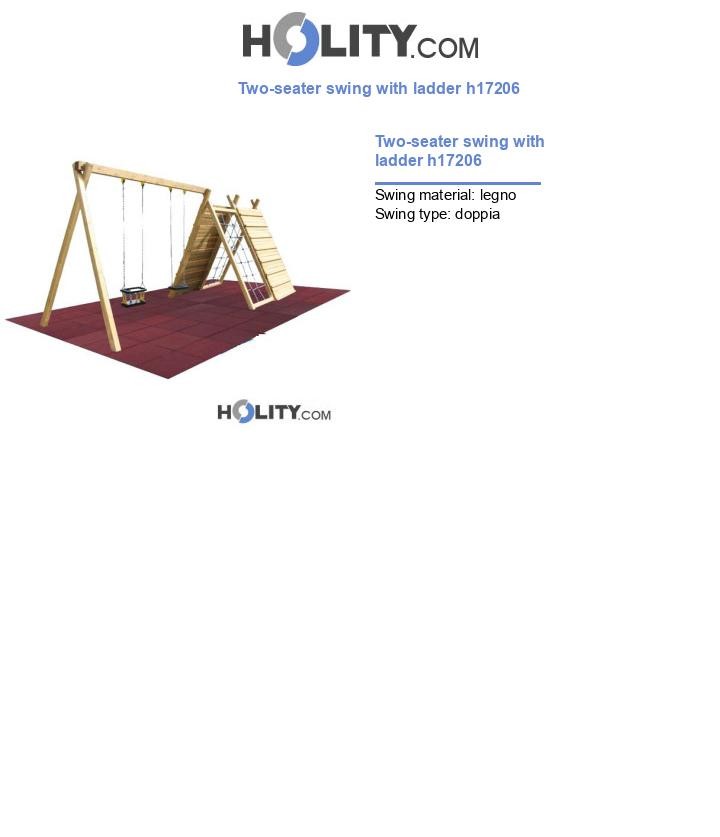 Two-seater swing with ladder h17206