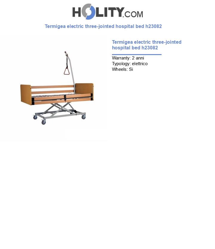 Termigea electric three-jointed hospital bed h23082