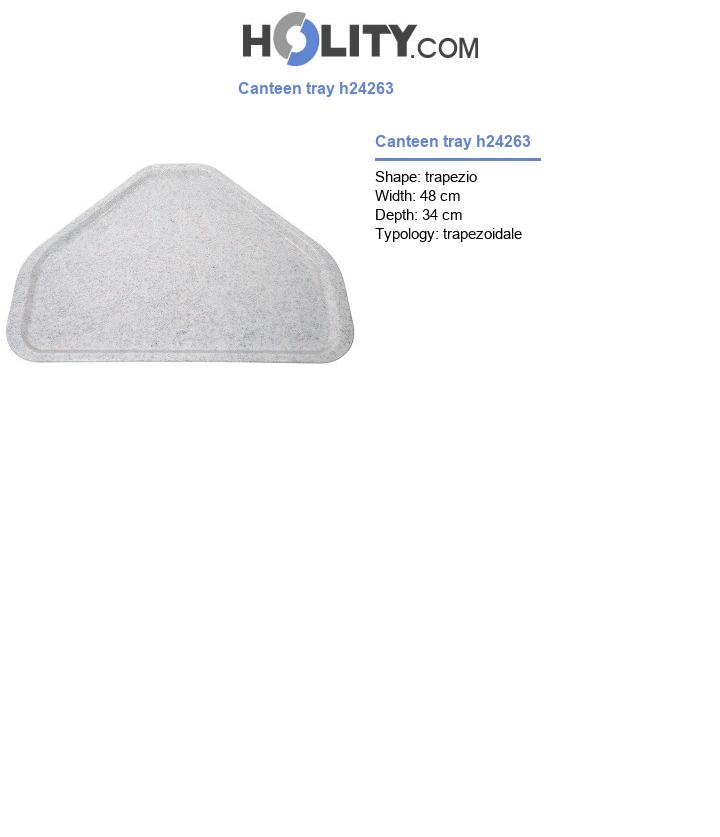 Canteen tray h24263