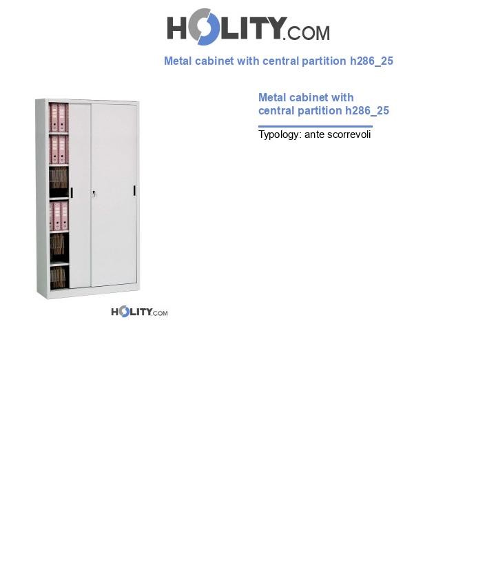 Metal cabinet with central partition h286_25