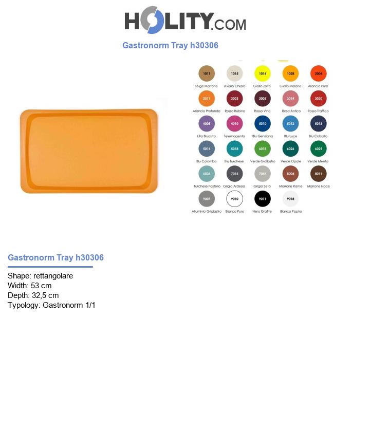Gastronorm Tray h30306